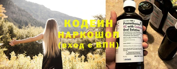 индика Беслан