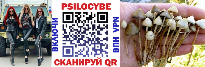 OMG ССЫЛКА  Лихославль  Псилоцибиновые грибы MAGIC MUSHROOMS 